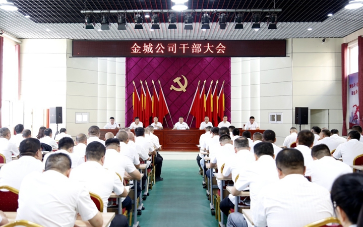 金城公司_副本.jpg
